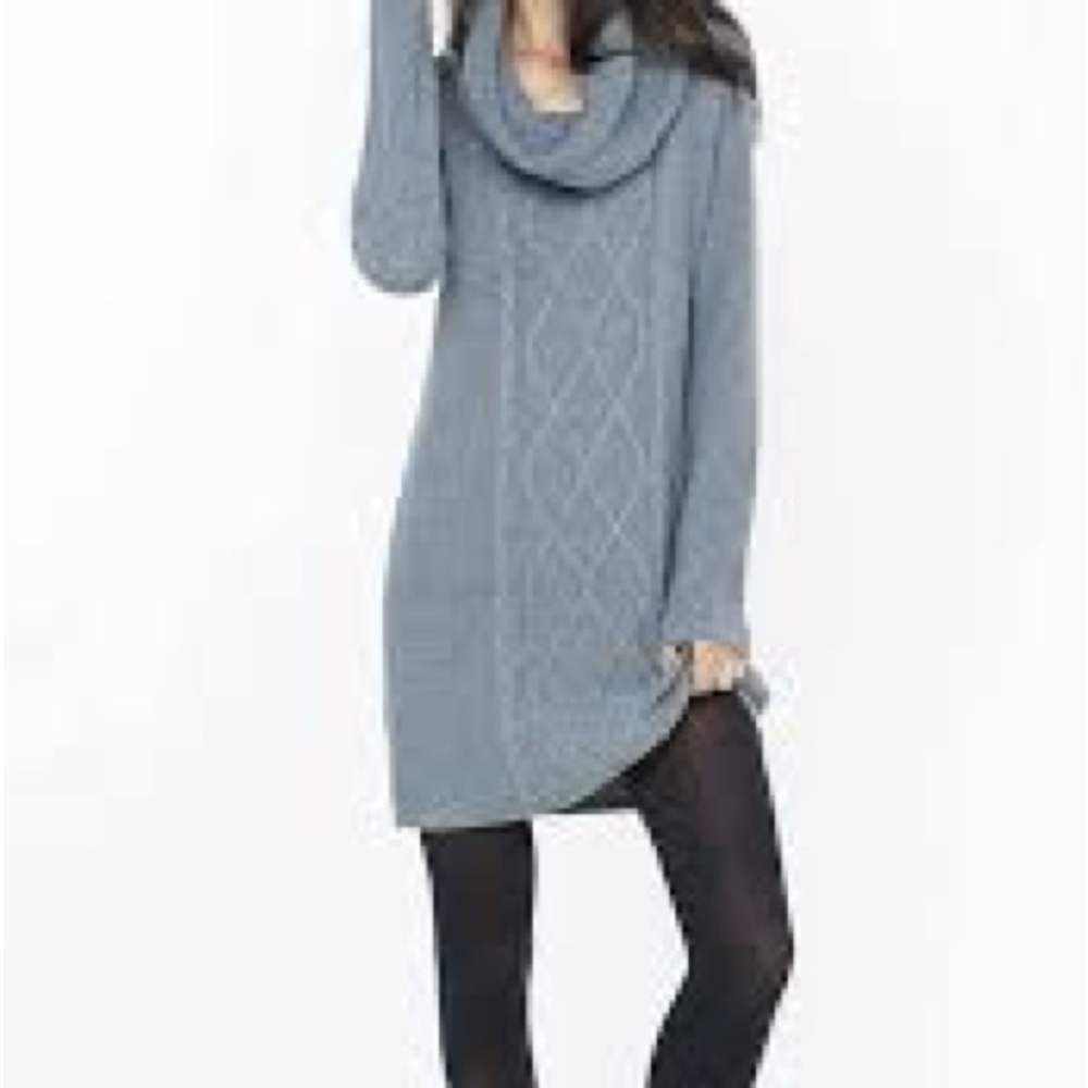 NWT Express Sweater or sweater dress Size Large Grey